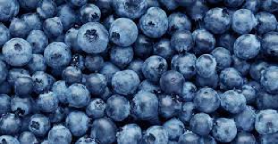 Blueberries 101: Nutrition Facts and ...