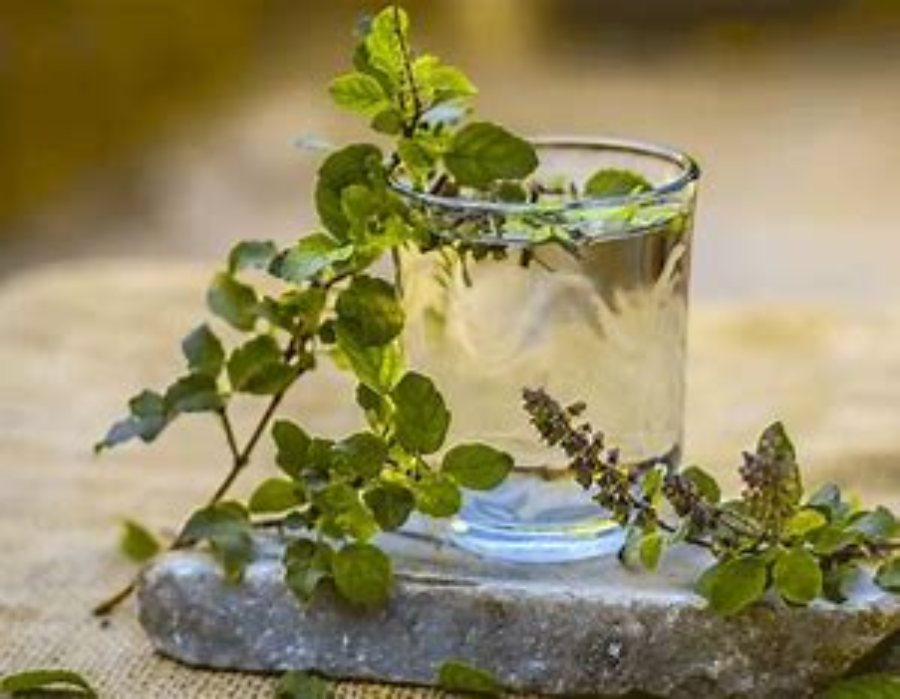 Image result for Why is Tulsi an Ayurvedic staple in every household images